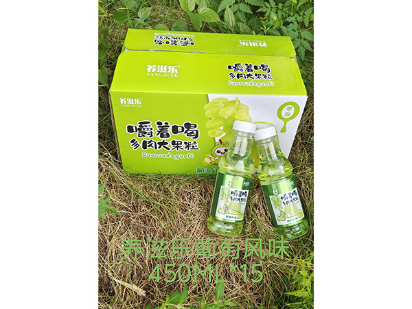 養(yǎng)滋樂葡萄風(fēng)味 450ML*15